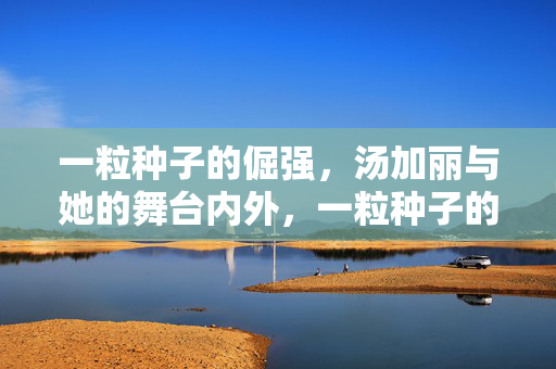 一粒种子的倔强,汤加丽与她的舞台内外,一粒种子的倔强,汤加丽舞台内外的生命姿态 一粒种子的倔强,汤加丽与她的舞台内外,一粒种子的倔强,汤加丽舞台内外的生命姿态