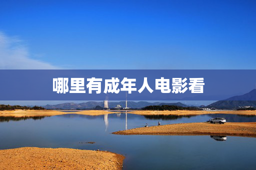 哪里有成年人电影看 哪里有成年人电影看