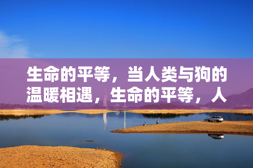 生命的平等，当人类与狗的温暖相遇，生命的平等，人类与狗的温暖相遇
