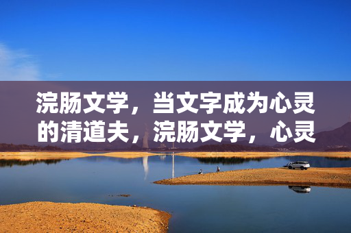 浣肠文学,当文字成为心灵的清道夫,浣肠文学,心灵的清道夫 浣肠文学,当文字成为心灵的清道夫,浣肠文学,心灵的清道夫