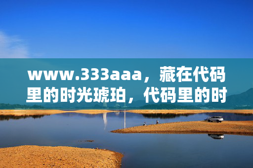 www.333aaa,藏在代码里的时光琥珀,代码里的时光琥珀 www.333aaa,藏在代码里的时光琥珀,代码里的时光琥珀