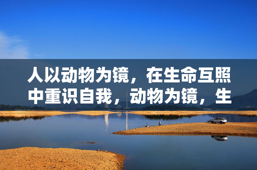 人以动物为镜,在生命互照中重识自我,动物为镜,生命互照中的自我重识 人以动物为镜,在生命互照中重识自我,动物为镜,生命互照中的自我重识