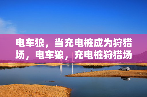 电车狼,当充电桩成为狩猎场,电车狼,充电桩狩猎场 电车狼,当充电桩成为狩猎场,电车狼,充电桩狩猎场