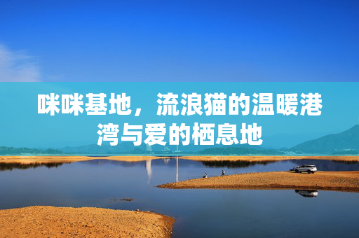 咪咪基地,流浪猫的温暖港湾与爱的栖息地 咪咪基地,流浪猫的温暖港湾与爱的栖息地