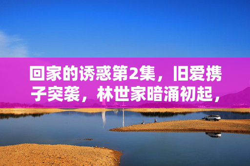 回家的诱惑第2集，旧爱携子突袭，林世家暗涌初起，风暴中心的人心博弈，旧爱携子突袭林世家，暗涌初起人心博弈