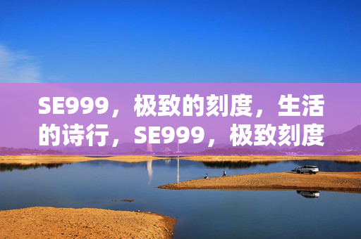 SE999,极致的刻度,生活的诗行,SE999,极致刻度,生活诗行 SE999,极致的刻度,生活的诗行,SE999,极致刻度,生活诗行