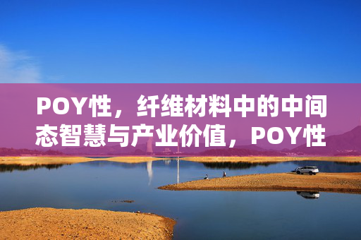 POY性,纤维材料中的中间态智慧与产业价值,POY性,纤维材料中间态智慧与产业价值 POY性,纤维材料中的中间态智慧与产业价值,POY性,纤维材料中间态智慧与产业价值
