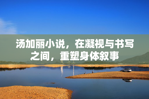 汤加丽小说,在凝视与书写之间,重塑身体叙事 汤加丽小说,在凝视与书写之间,重塑身体叙事