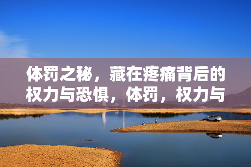 体罚之秘,藏在疼痛背后的权力与恐惧,体罚,权力与恐惧的疼痛密码 体罚之秘,藏在疼痛背后的权力与恐惧,体罚,权力与恐惧的疼痛密码