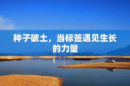 种子破土,当标签遇见生长的力量 种子破土,当标签遇见生长的力量