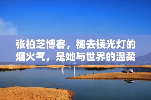 张柏芝博客，褪去镁光灯的烟火气，是她与世界的温柔对话，张柏芝博客，褪去烟火气，与世界温柔对话