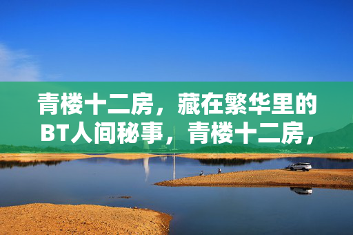 青楼十二房，藏在繁华里的BT人间秘事，青楼十二房，繁华下的BT秘事