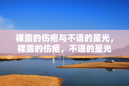 裸露的伤疤与不语的星光,裸露的伤疤,不语的星光 裸露的伤疤与不语的星光,裸露的伤疤,不语的星光