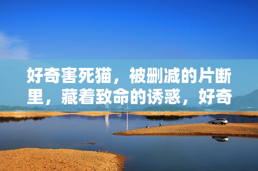 好奇害死猫，被删减的片断里，藏着致命的诱惑，好奇害死猫，删减片段里的致命诱惑