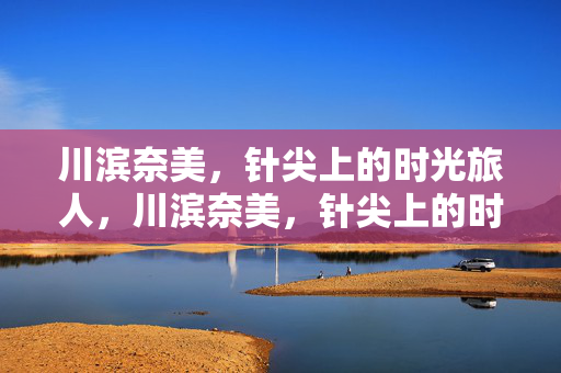 川滨奈美,针尖上的时光旅人,川滨奈美,针尖上的时光旅人 川滨奈美,针尖上的时光旅人,川滨奈美,针尖上的时光旅人