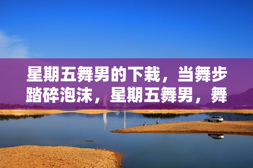星期五舞男的下栽,当舞步踏碎泡沫,星期五舞男,舞步踏碎泡沫的下栽 星期五舞男的下栽,当舞步踏碎泡沫,星期五舞男,舞步踏碎泡沫的下栽