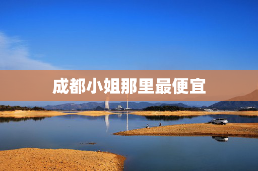 成都小姐那里最便宜 成都小姐那里最便宜