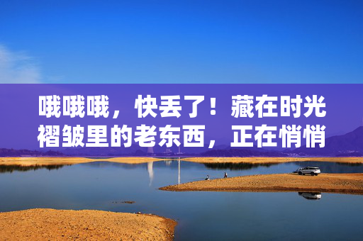 哦哦哦,快丢了!藏在时光褶皱里的老东西,正在悄悄溜走,时光褶皱里的老东西,悄悄溜走 哦哦哦,快丢了!藏在时光褶皱里的老东西,正在悄悄溜走,时光褶皱里的老东西,悄悄溜走