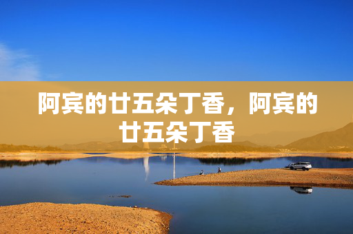 阿宾的廿五朵丁香,阿宾的廿五朵丁香 阿宾的廿五朵丁香,阿宾的廿五朵丁香