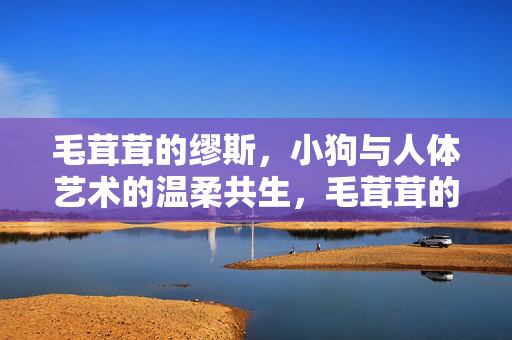 毛茸茸的缪斯,小狗与人体艺术的温柔共生,毛茸茸的缪斯,小狗与人体艺术的温柔共生 毛茸茸的缪斯,小狗与人体艺术的温柔共生,毛茸茸的缪斯,小狗与人体艺术的温柔共生