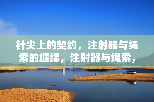 针尖上的契约,注射器与绳索的缠绵,注射器与绳索,针尖契约 针尖上的契约,注射器与绳索的缠绵,注射器与绳索,针尖契约
