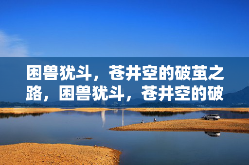 困兽犹斗，苍井空的破茧之路，困兽犹斗，苍井空的破茧之路