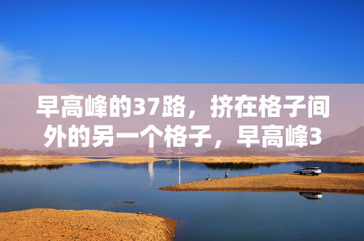 早高峰的37路，挤在格子间外的另一个格子，早高峰37路，格子间外的拥挤格子