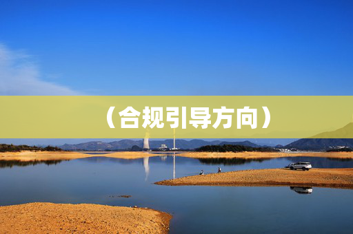 (合规引导方向) (合规引导方向)