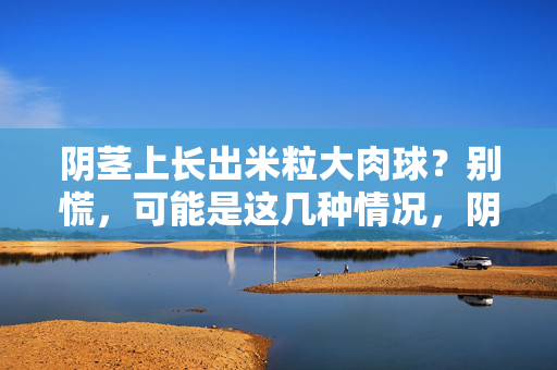阴茎上长出米粒大肉球?别慌,可能是这几种情况,阴茎上长米粒大肉球?别慌,可能是这几种情况 阴茎上长出米粒大肉球?别慌,可能是这几种情况,阴茎上长米粒大肉球?别慌,可能是这几种情况