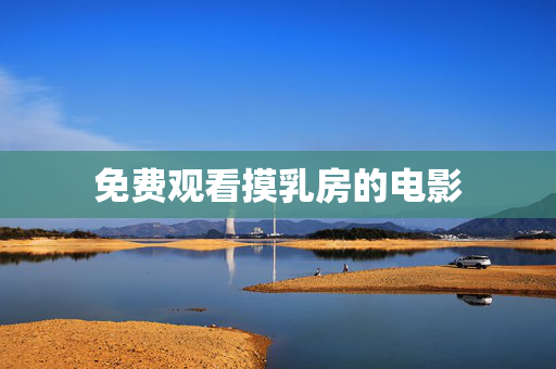 免费观看摸乳房的电影