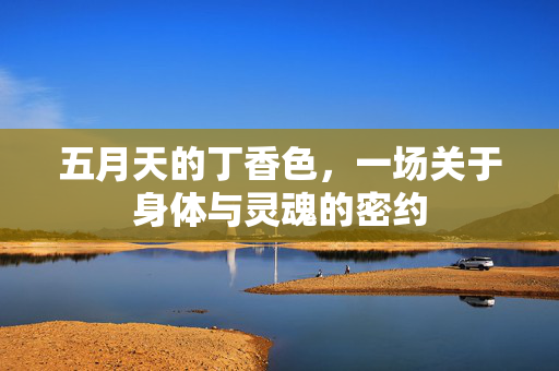 五月天的丁香色，一场关于身体与灵魂的密约