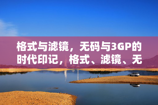格式与滤镜，无码与3GP的时代印记，格式、滤镜、无码、3GP，数字媒介的时代印记