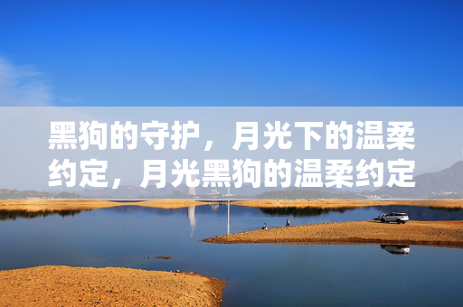 黑狗的守护,月光下的温柔约定,月光黑狗的温柔约定 黑狗的守护,月光下的温柔约定,月光黑狗的温柔约定