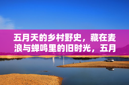 五月天的乡村野史,藏在麦浪与蝉鸣里的旧时光,五月天的乡村野史,麦浪蝉鸣里的旧时光 五月天的乡村野史,藏在麦浪与蝉鸣里的旧时光,五月天的乡村野史,麦浪蝉鸣里的旧时光