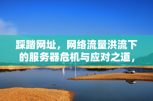 踩踏网址,网络流量洪流下的服务器危机与应对之道,踩踏网址,网络流量洪流下的服务器危机与应对之道 踩踏网址,网络流量洪流下的服务器危机与应对之道,踩踏网址,网络流量洪流下的服务器危机与应对之道