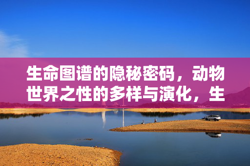 生命图谱的隐秘密码,动物世界之性的多样与演化,生命图谱的隐秘密码,动物世界的性多样与演化 生命图谱的隐秘密码,动物世界之性的多样与演化,生命图谱的隐秘密码,动物世界的性多样与演化