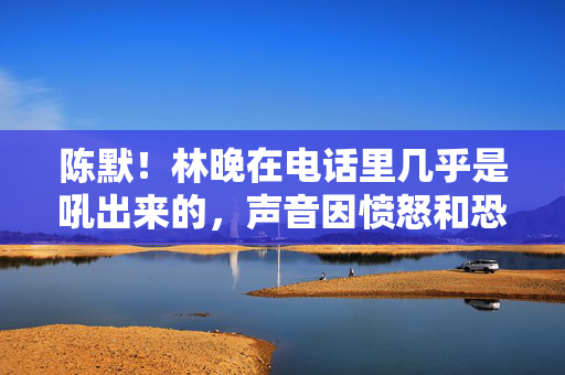 陈默！林晚在电话里几乎是吼出来的，声音因愤怒和恐惧而颤抖，你到底想干什么？那些照片是不是你弄出去的？林晚电话怒吼陈默，照片是你弄出去的吗？