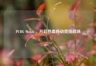 PUBG Mobile，开启热血移动竞技战场