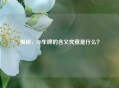 揭秘，SD车牌的含义究竟是什么？