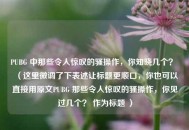 PUBG 中那些令人惊叹的骚操作，你知晓几个？ （这里微调了下表述让标题更顺口，你也可以直接用原文PUBG 那些令人惊叹的骚操作，你见过几个？ 作为标题 ）