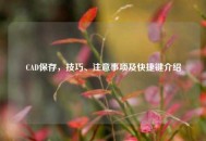 CAD保存，技巧、注意事项及快捷键介绍