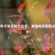 在线电子签名 *** 软件，便捷高效的签名新方式
