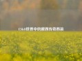 CSGO世界中的戴西传奇西装