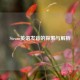 Steam英语发音的探索与解析