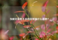 当前交易暂不支持花呗是什么意思？
