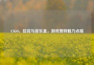 CSGO，拉花与音乐盒，游戏独特魅力点缀