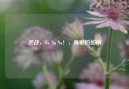 逆战，No No No！，勇敢的回响