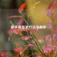 银手镯鉴定 *** 全解析