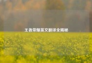 王者荣耀英文翻译全揭秘