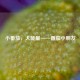 小番茄，大能量——番茄小朋友